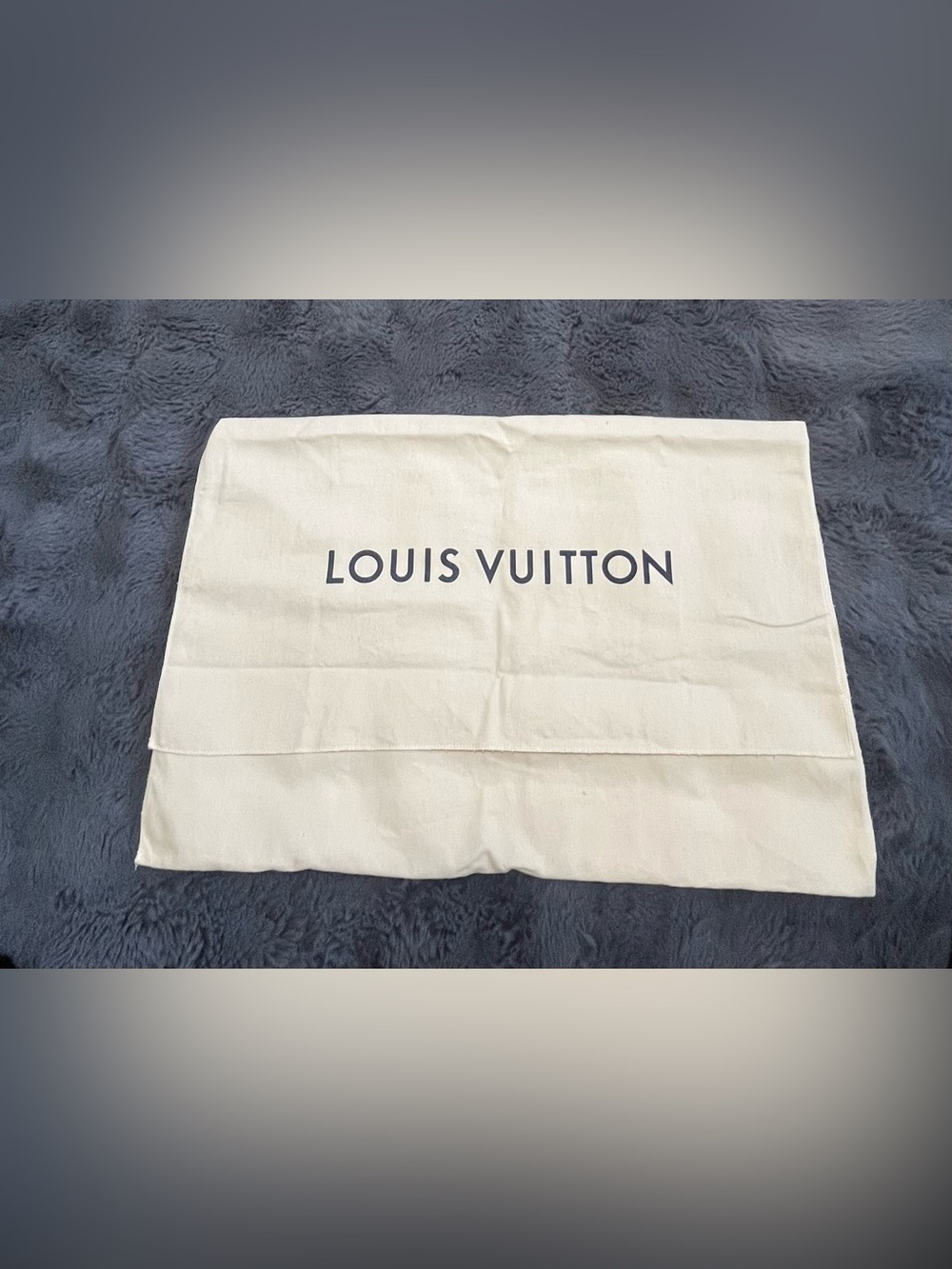 Louis Vuitton Beige Large Storage Dust bag W 22”x H 14.5”